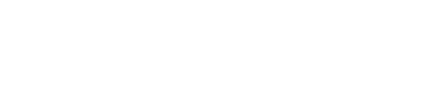 techrise-logo-whitte